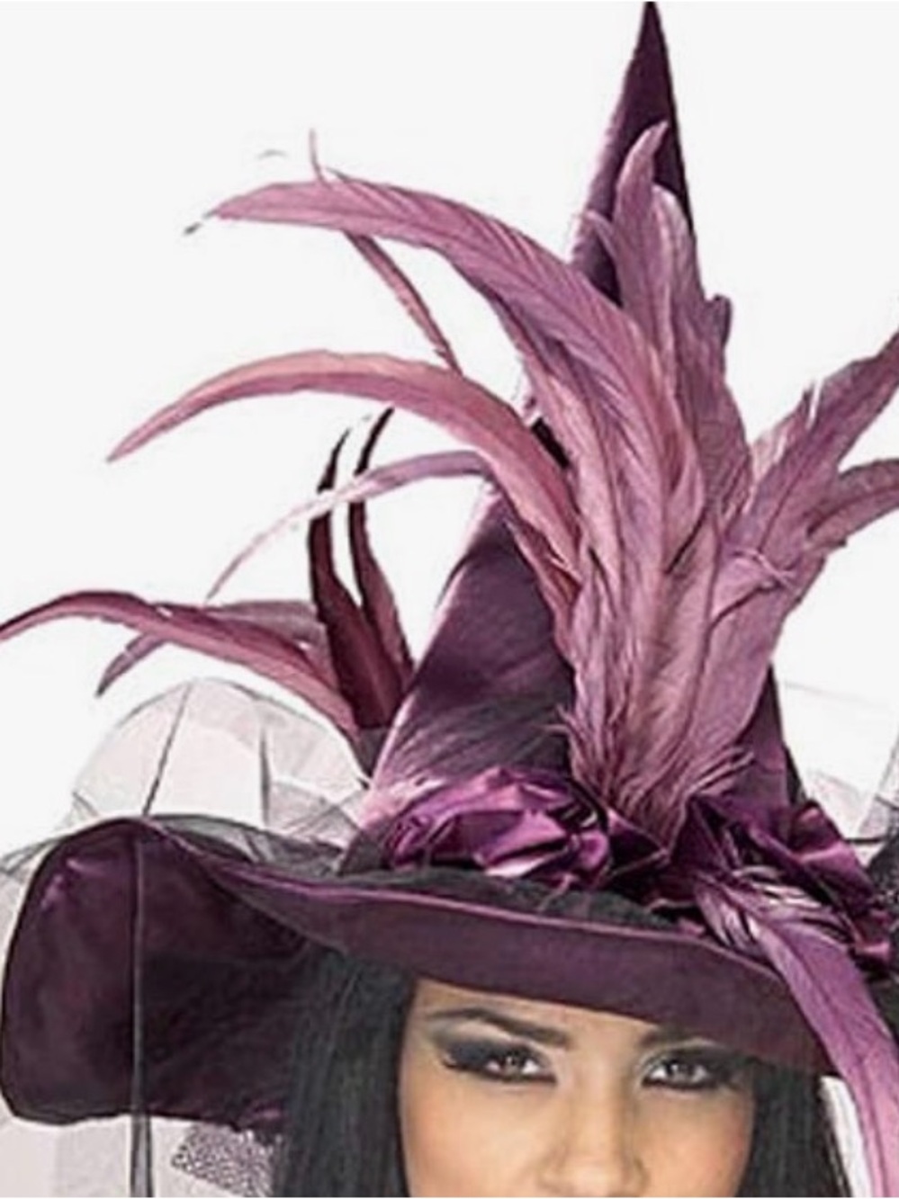 Rubie's Plum Feather Witch Hat with Satin Band
